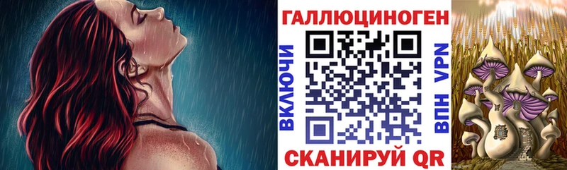 купить наркоту  Ужур  Псилоцибиновые грибы мухоморы 